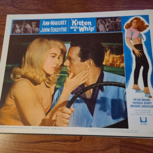 Kitten With A Whip 1964 General Lobby Cards