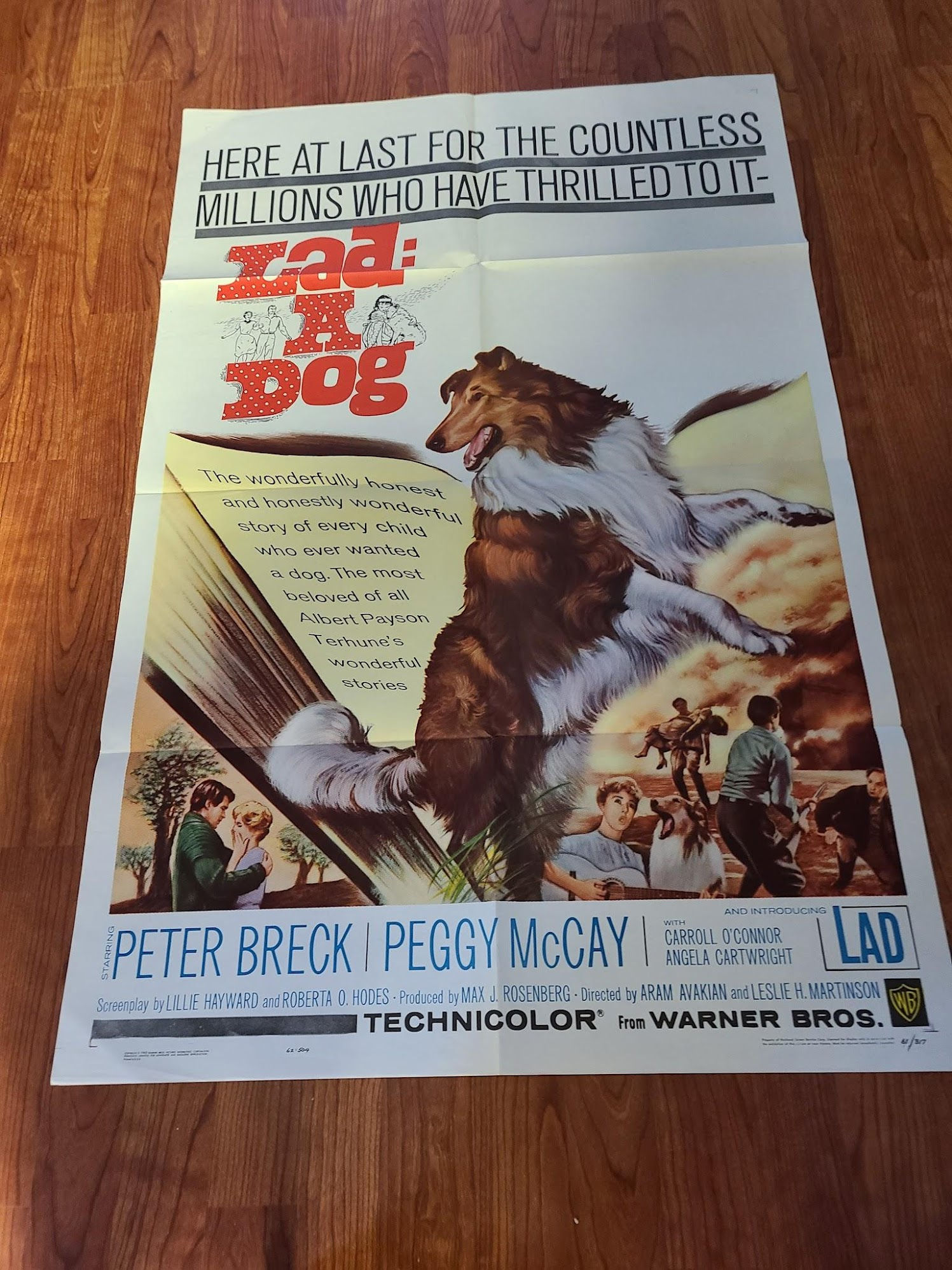Lad: A Dog 1962 1 Sheets/US