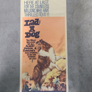 Lad; A Dog 1962 Inserts
