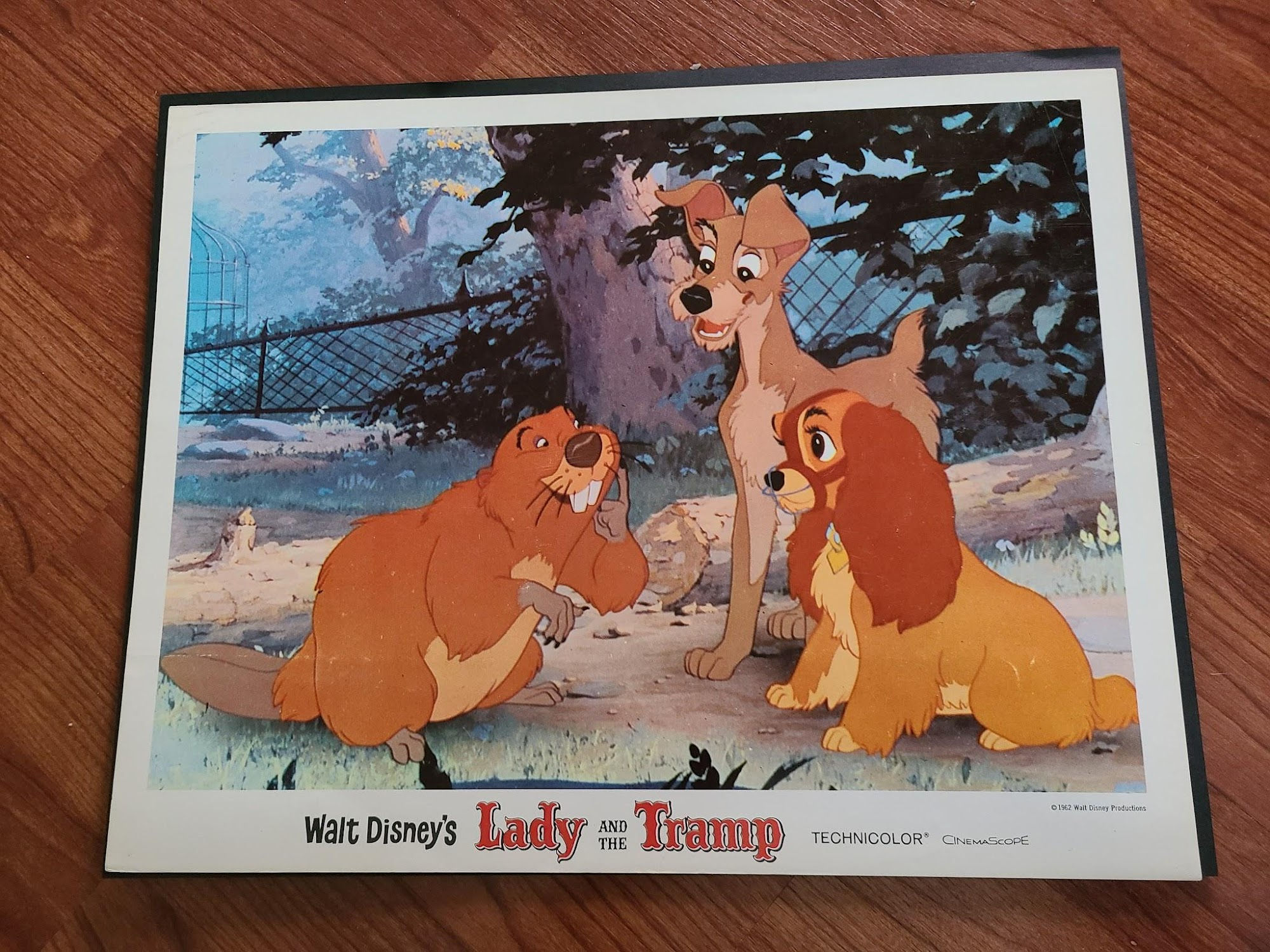 Lady And The Tramp 1955 General Lobby Cards