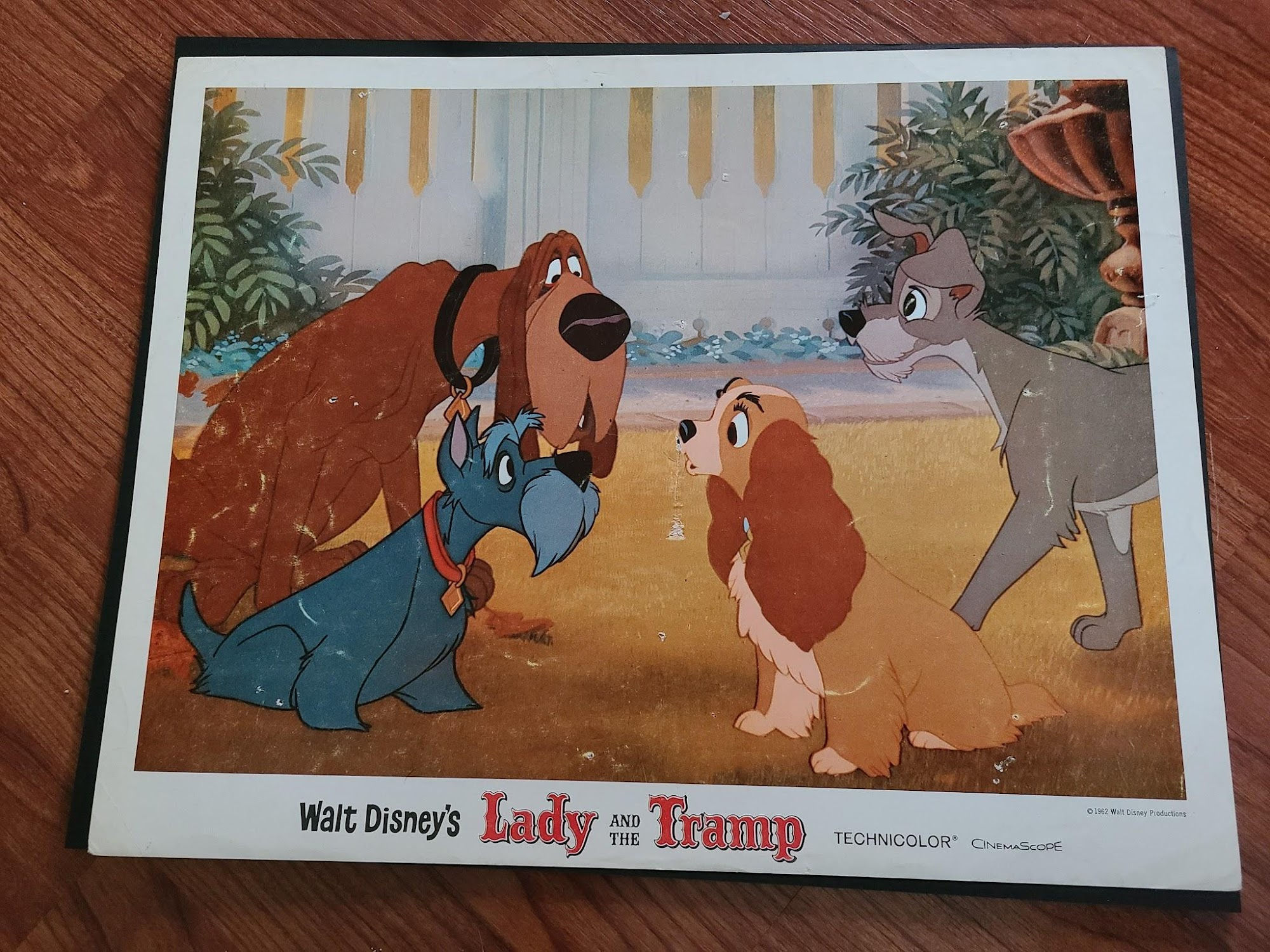 Lady And The Tramp 1955 General Lobby Cards