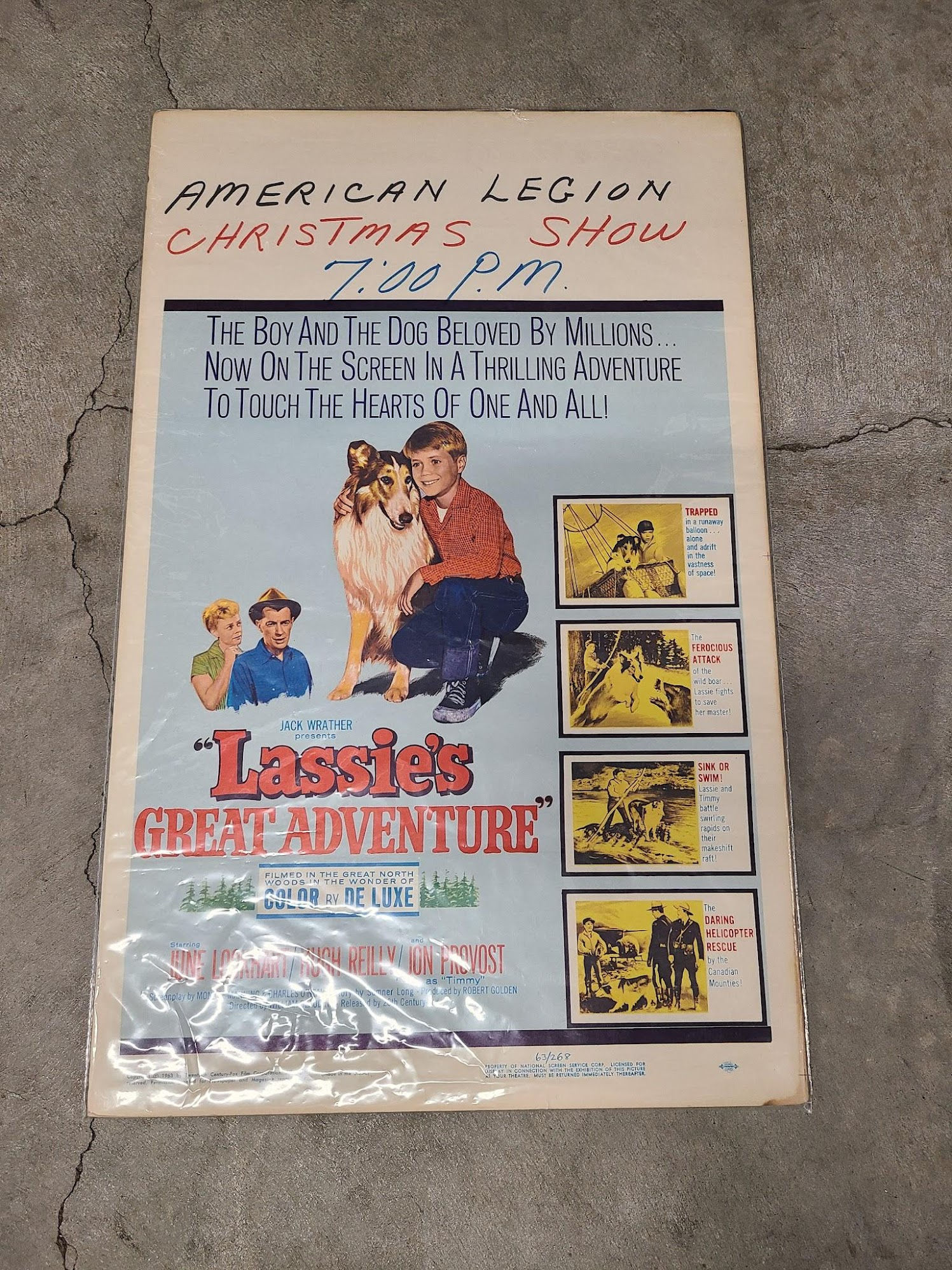 Lassie's Great Adventure 1963 Window Cards