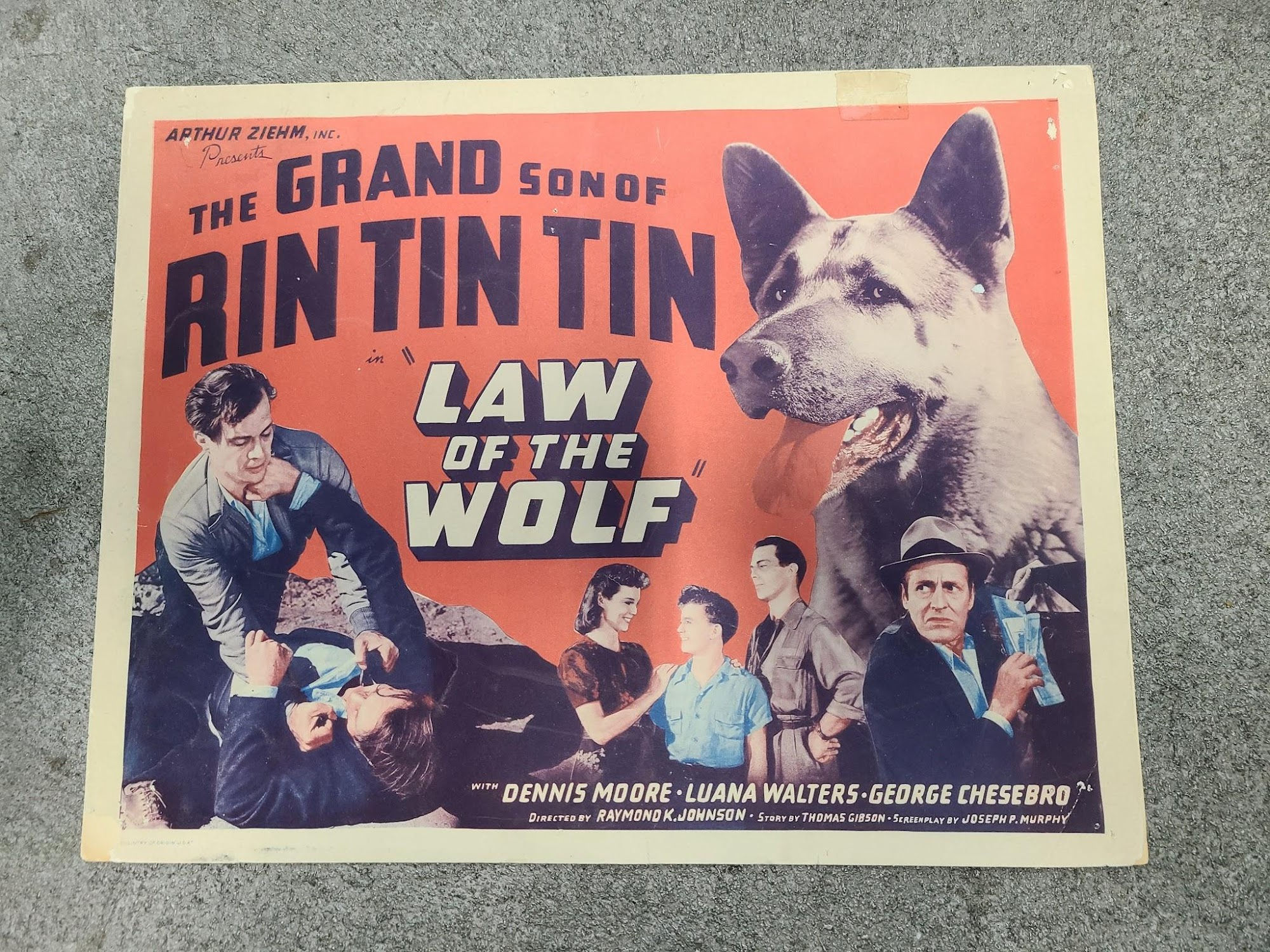 Law of The Wolf 1939 Title Cards