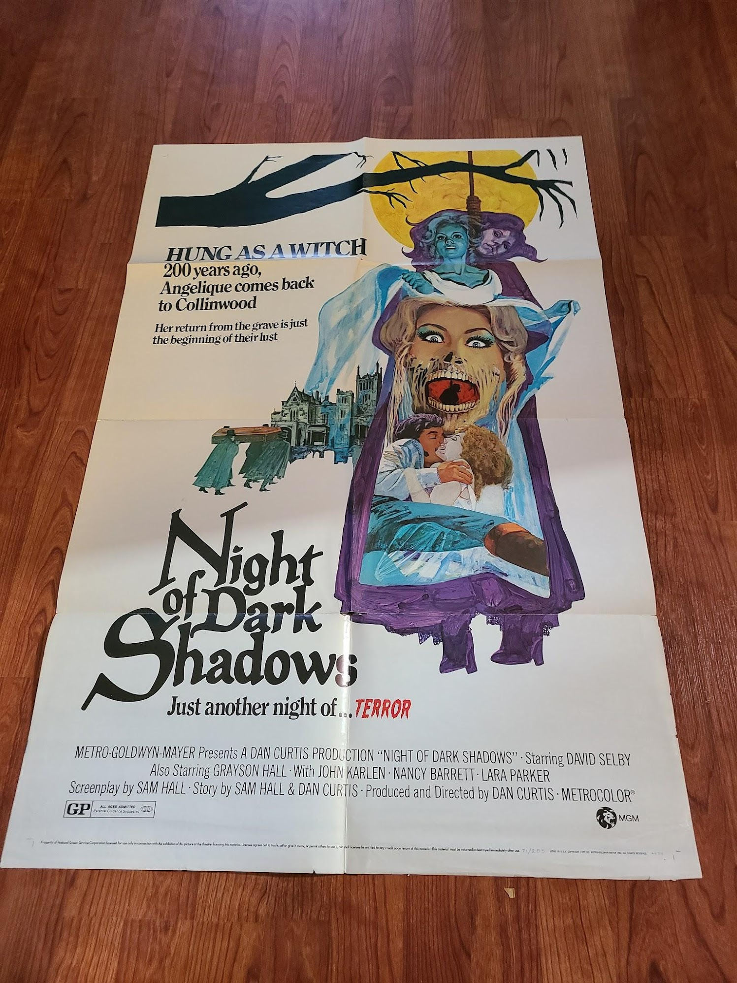 Night Of Dark Shadows 1971 1 Sheets/US