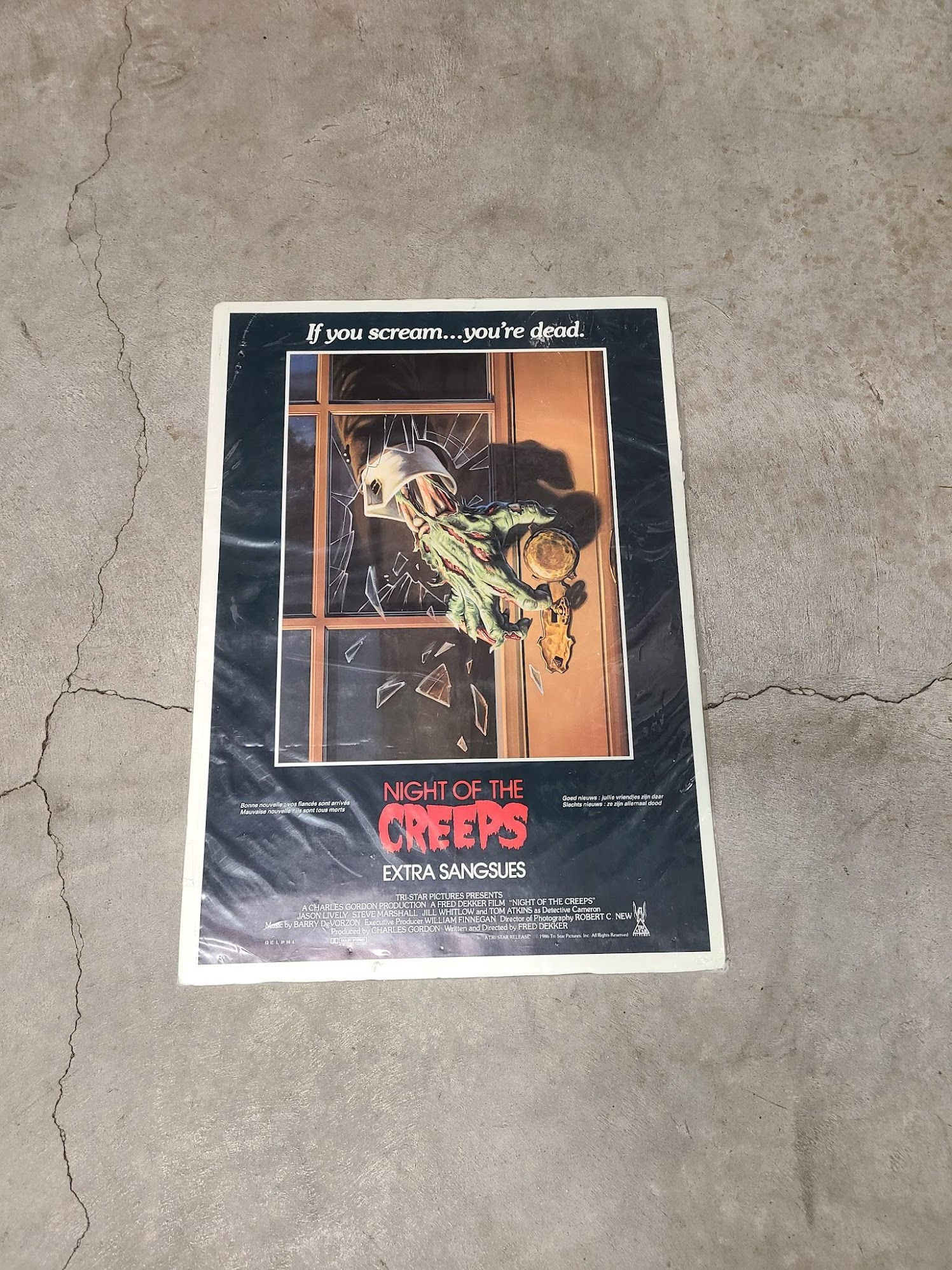 Night Of The Creeps 1986 Window Cards