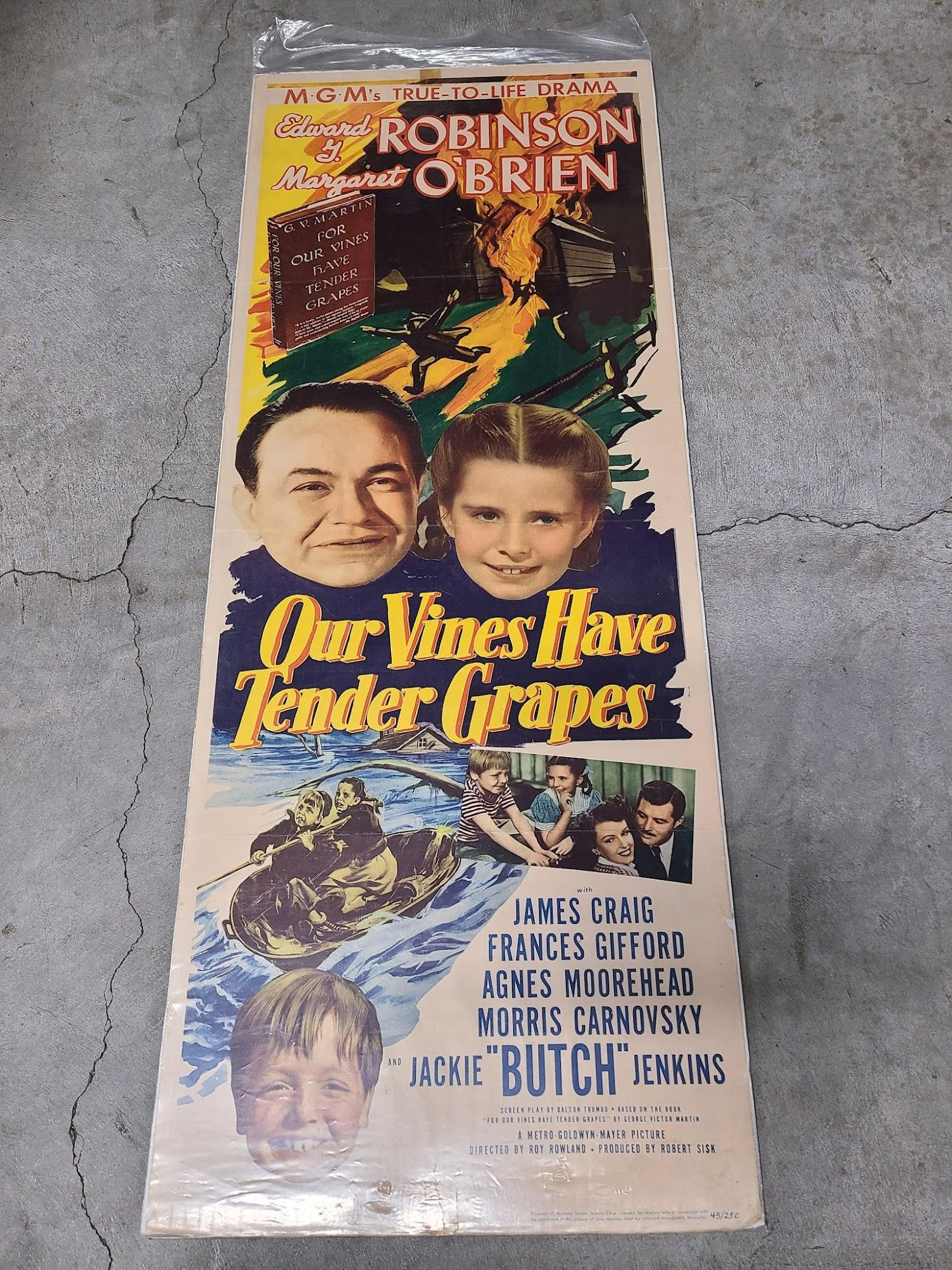 Our Vines Have Tender Grapes 1945 Inserts