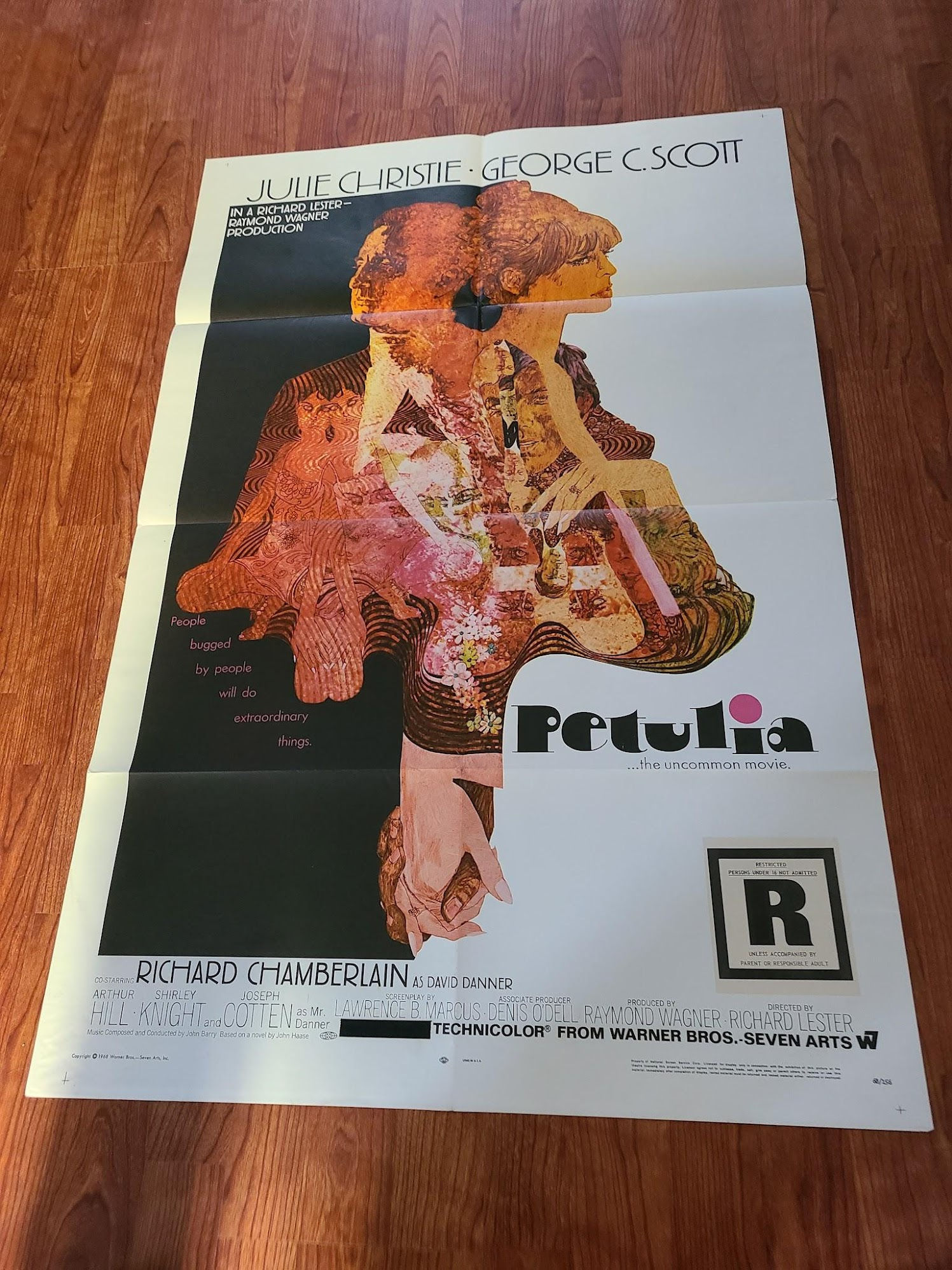 Petulia 1968 1 Sheets/US