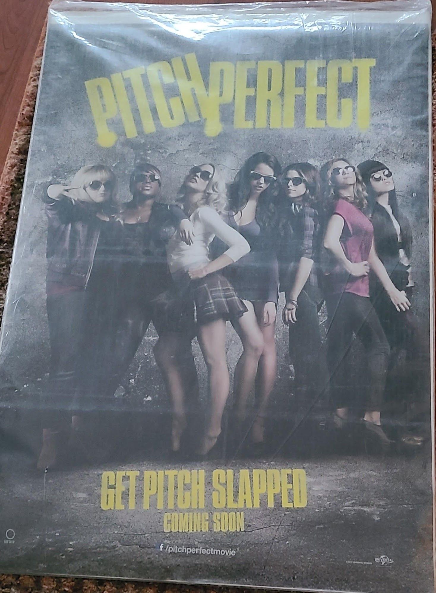 Pitch Perfect 2012 1 Sheets/US