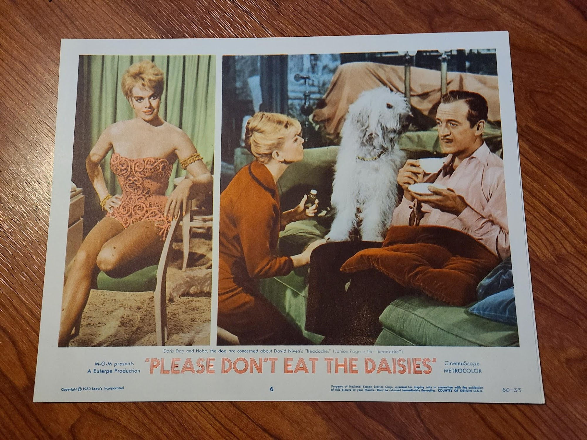 Please Don't Eat The Daises 1960 General Lobby Cards