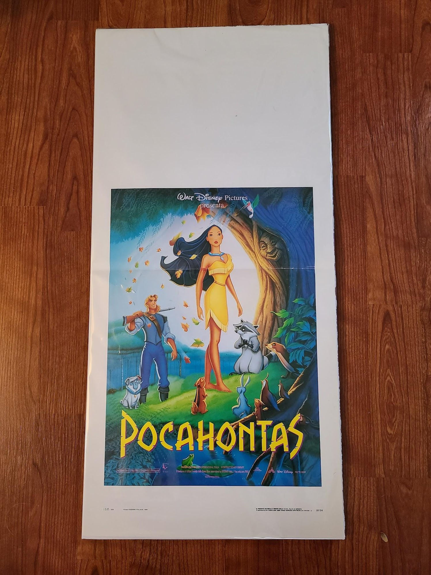 Pocahontas 1995 Locodina