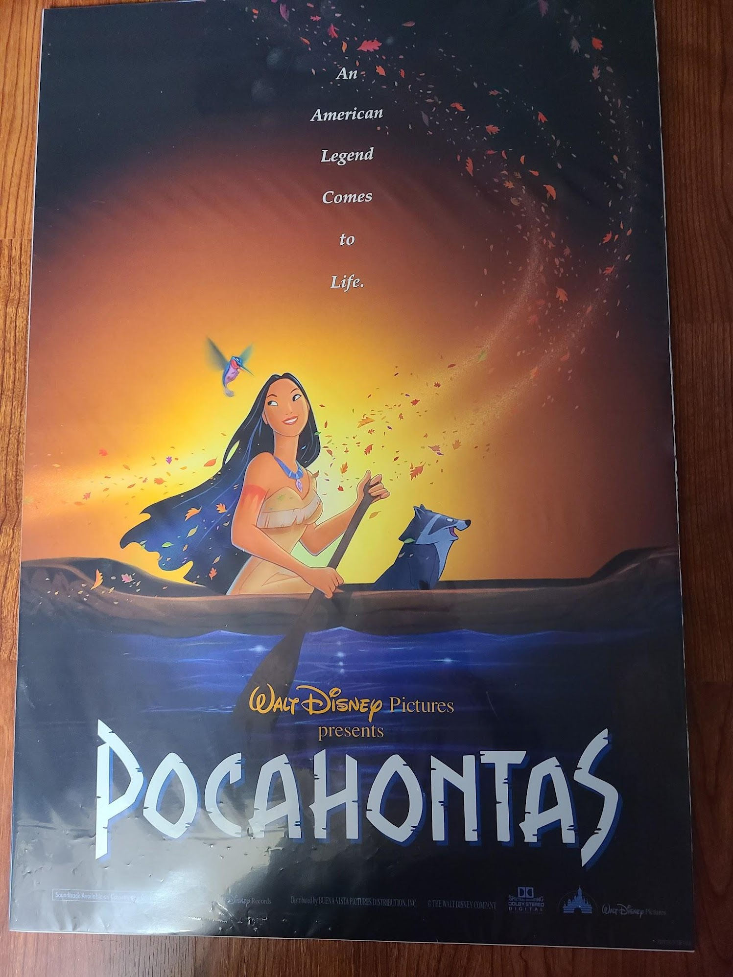 Pocahontas 1995 Window Cards