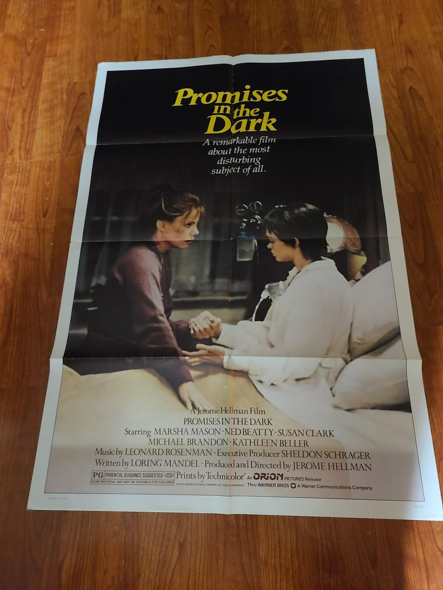 Promises In The Dark 1979 1 Sheets/US