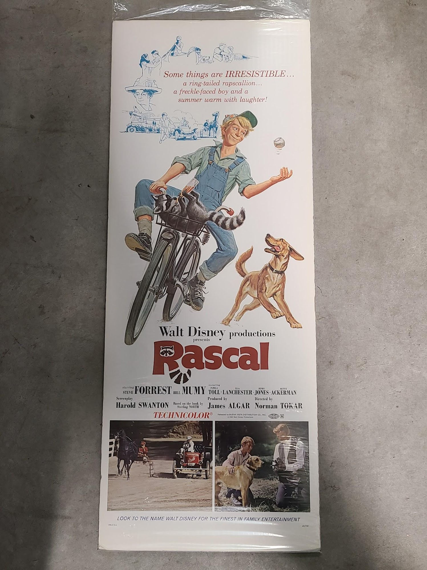Rascal 1969 Inserts