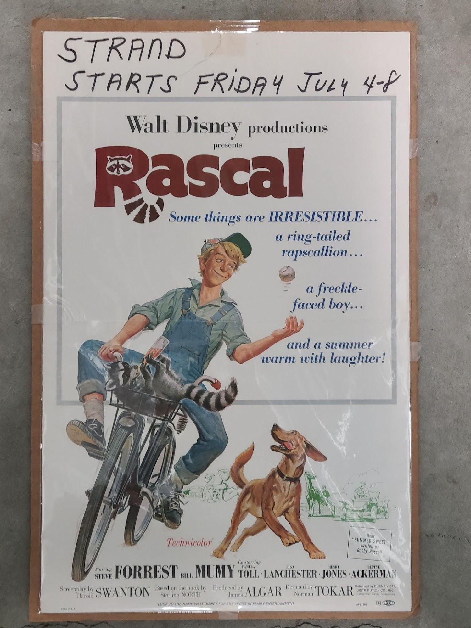 Rascal 1969 Window Cards
