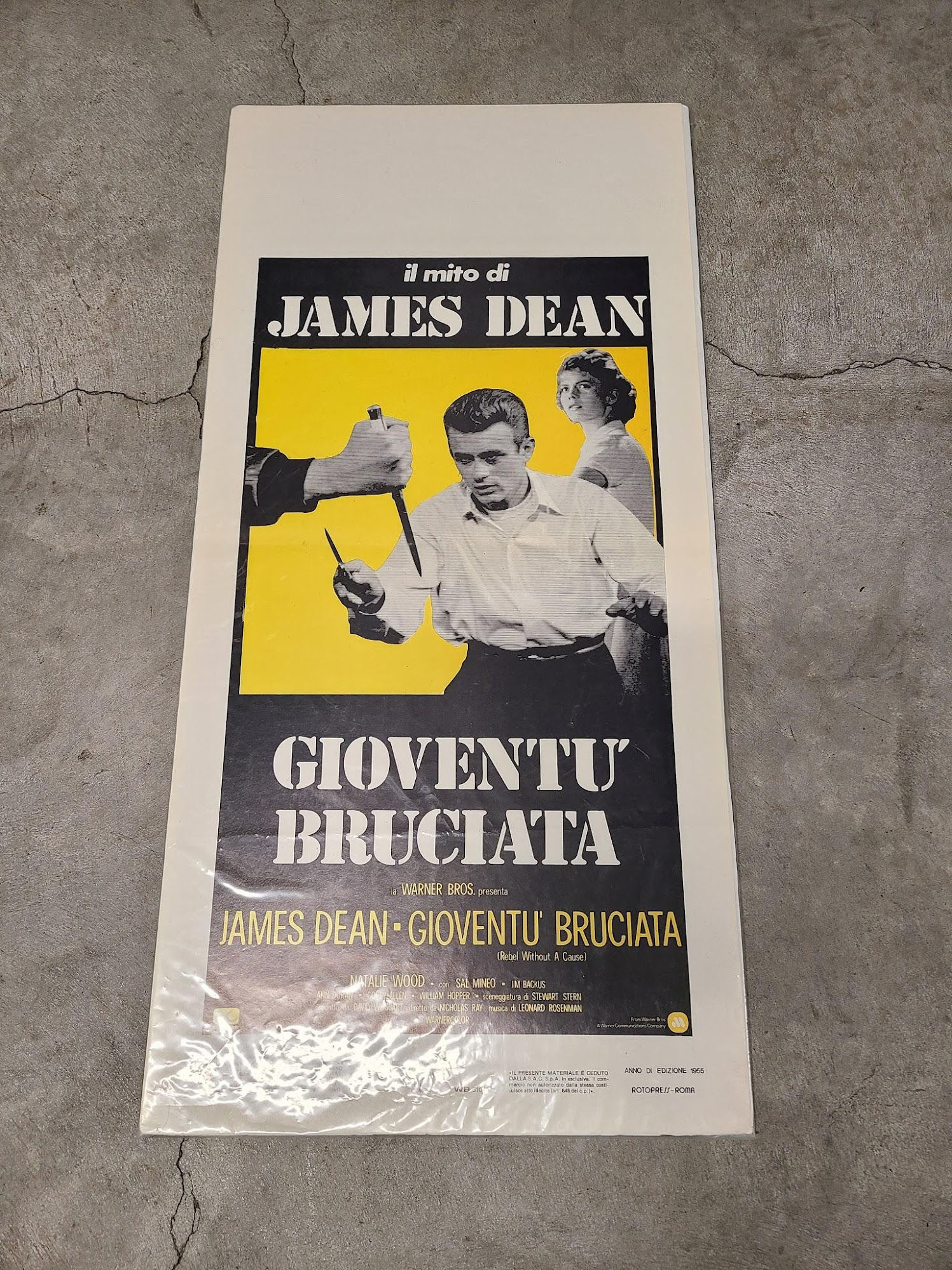 Rebel Without A Cause 1955 Locodina