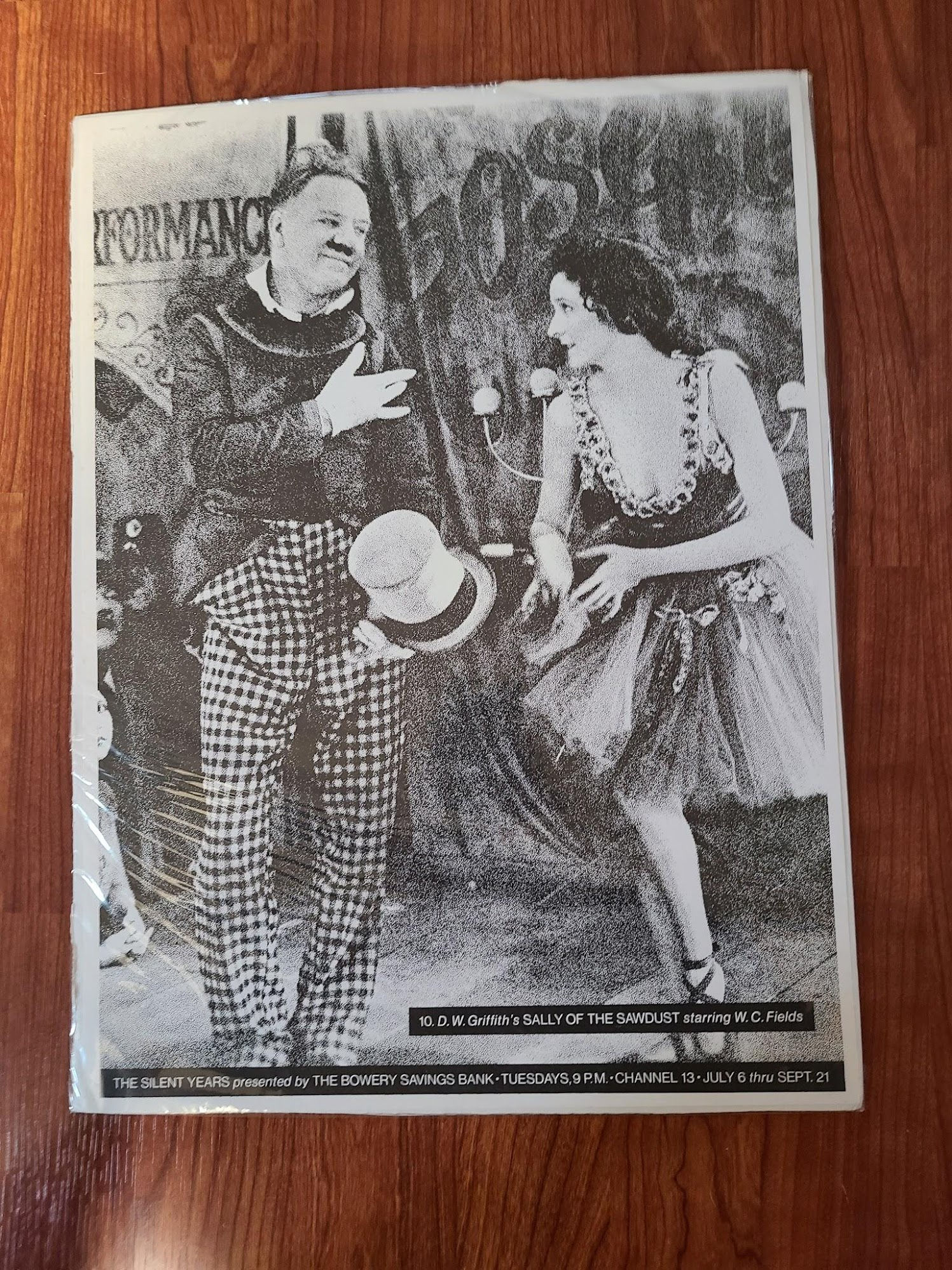 Sally Of The Sawdust 1925 Window Cards