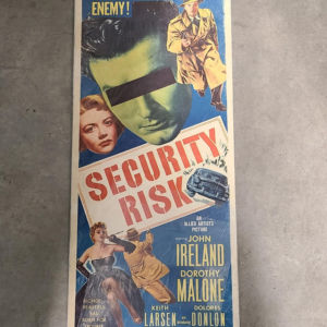 Security Risk 1954 Inserts