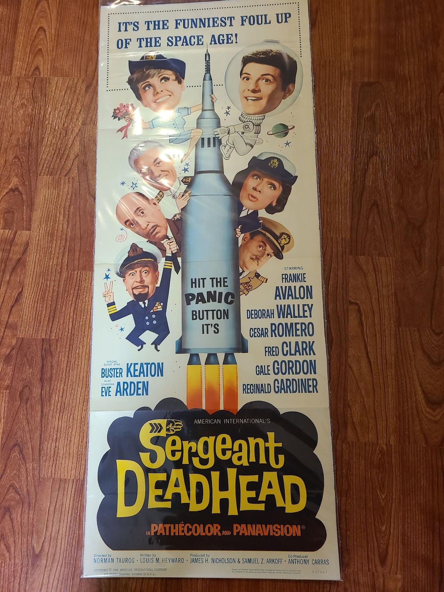 Sergeant Deadhead 1965 Inserts