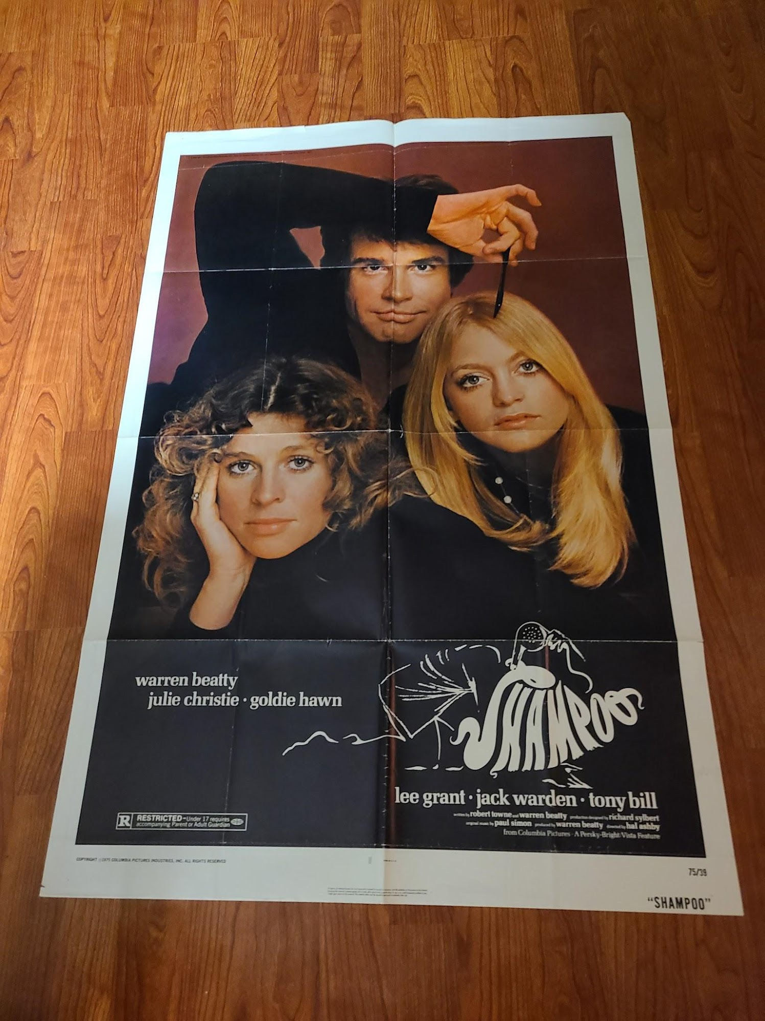 Shampoo 1975 1 Sheets/US