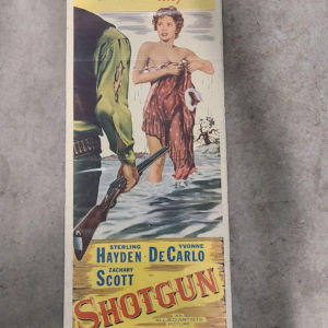 Shotgun 1955 Inserts