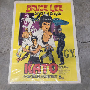 Son Of The Dragon 1974 Window Cards