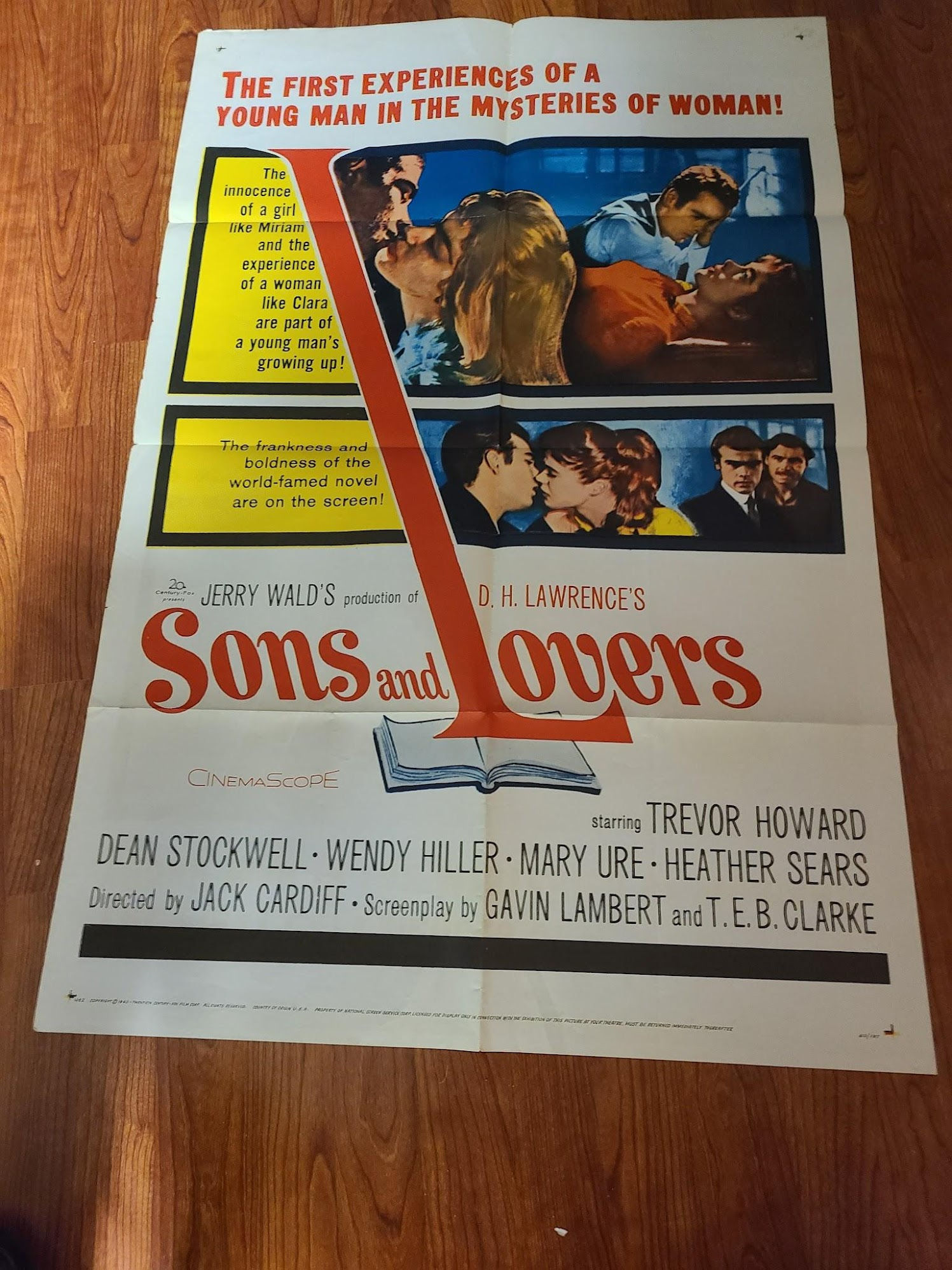 Sons and Lovers 1960 1 Sheets/US