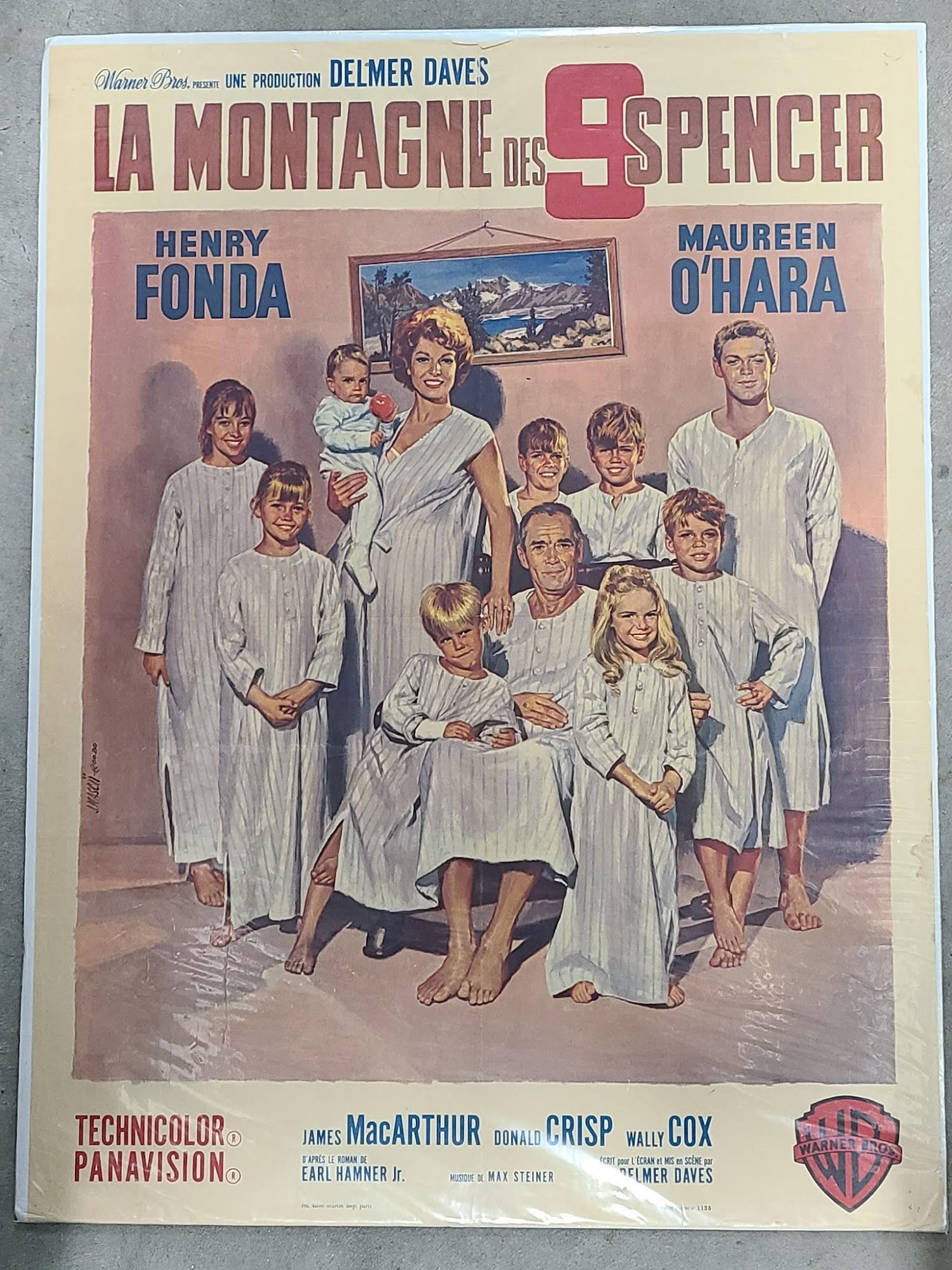 Spencer's Mountain 1963 French