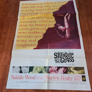 Splendor In The Grass 1961 1 Sheets/US