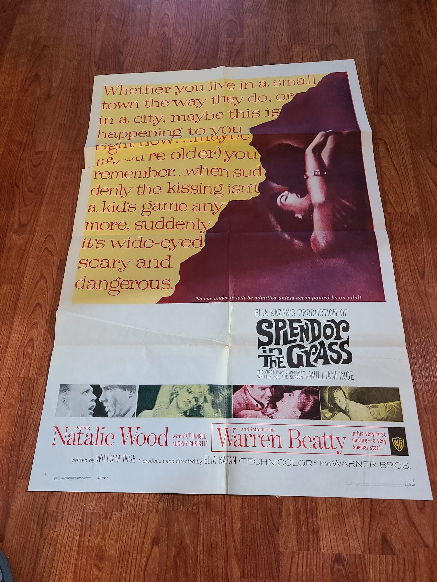 Splendor In The Grass 1961 1 Sheets/US