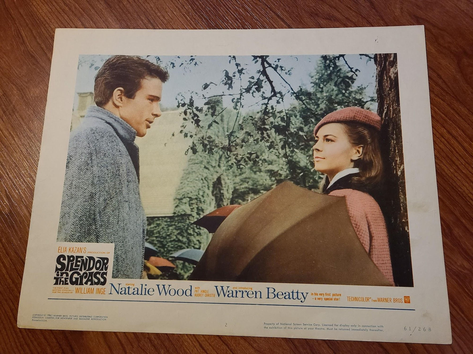 Splendor In The Grass 1961 General Lobby Cards