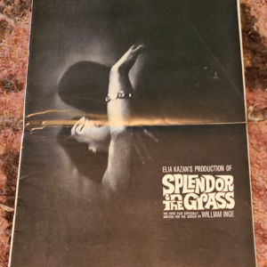 Splendor In The Grass 1961 Press Books