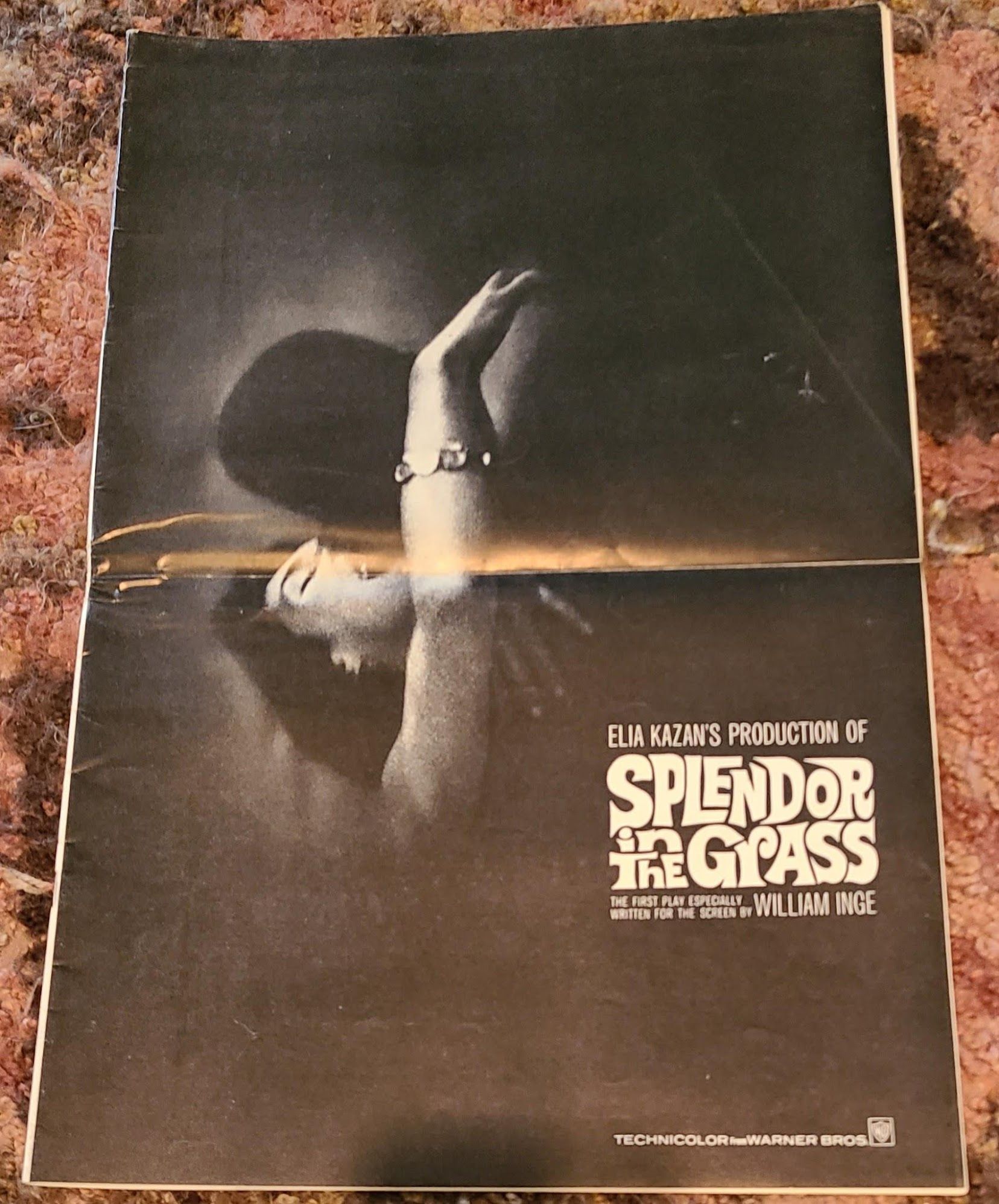 Splendor In The Grass 1961 Press Books