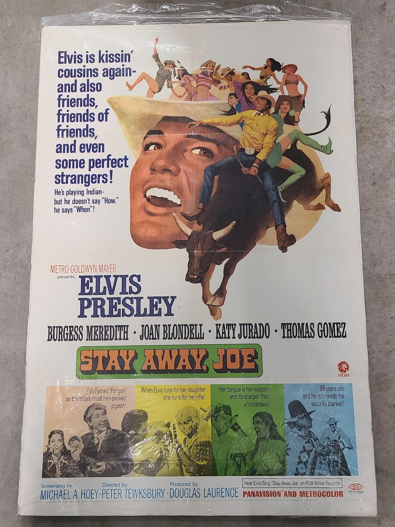 Stay Away Joe 1968 1 Sheets/US