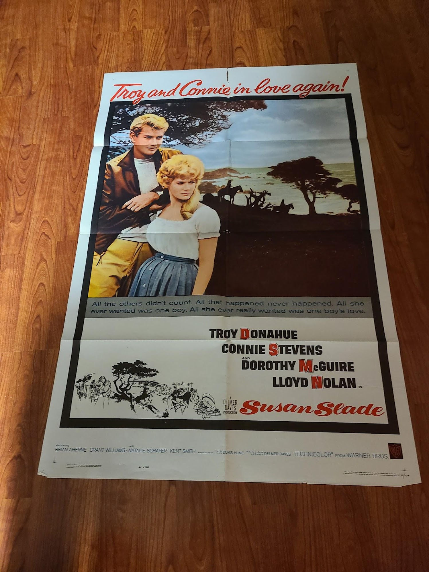 Susan Slade 1961 1 Sheets/US