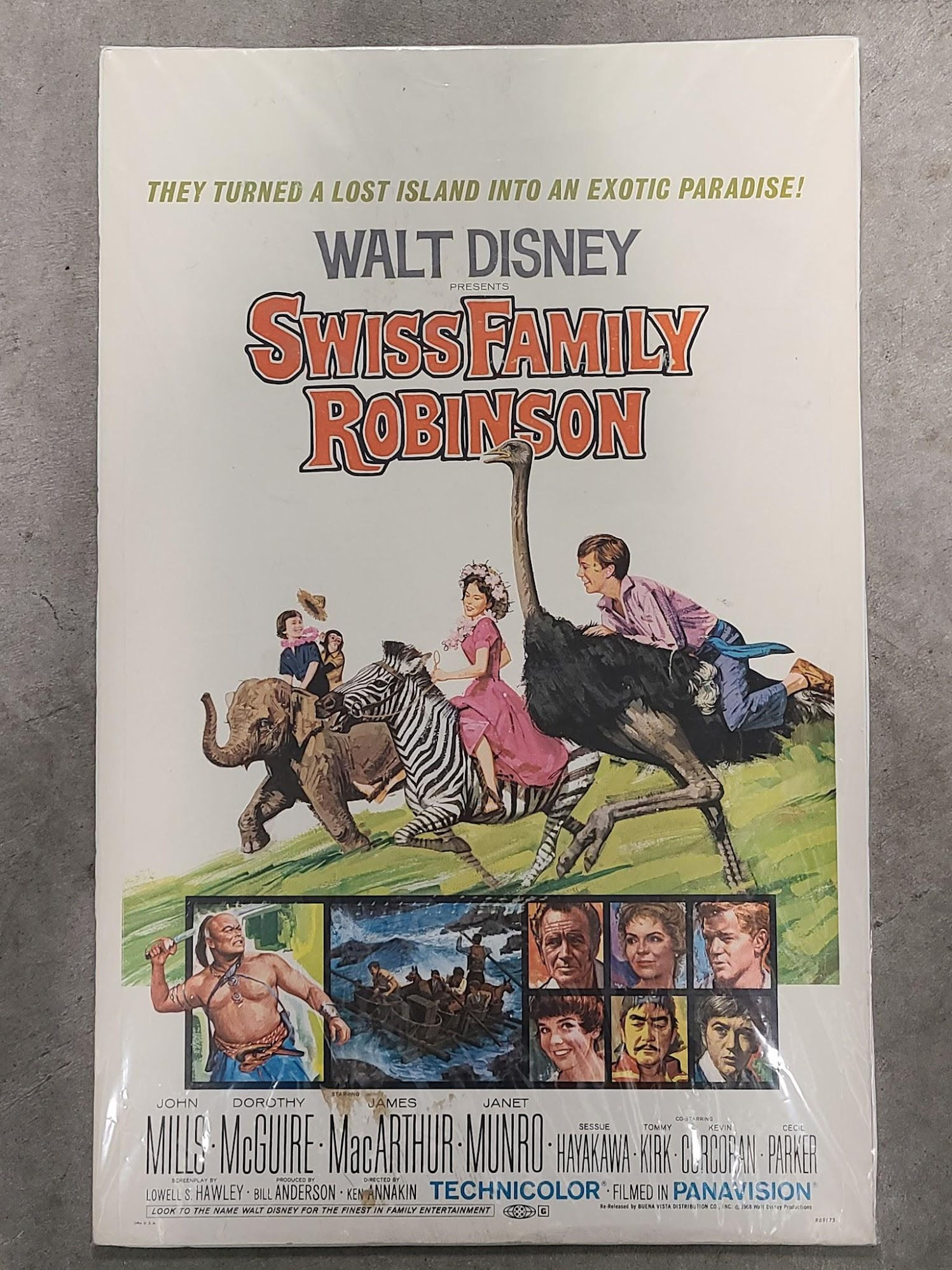 Swiss Family Robinson 1960 Window Cards