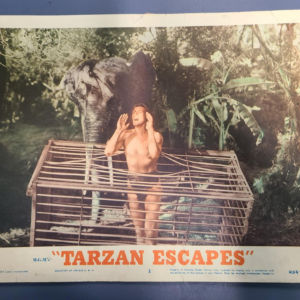 Tarzan Escapes 1936 General Lobby Cards