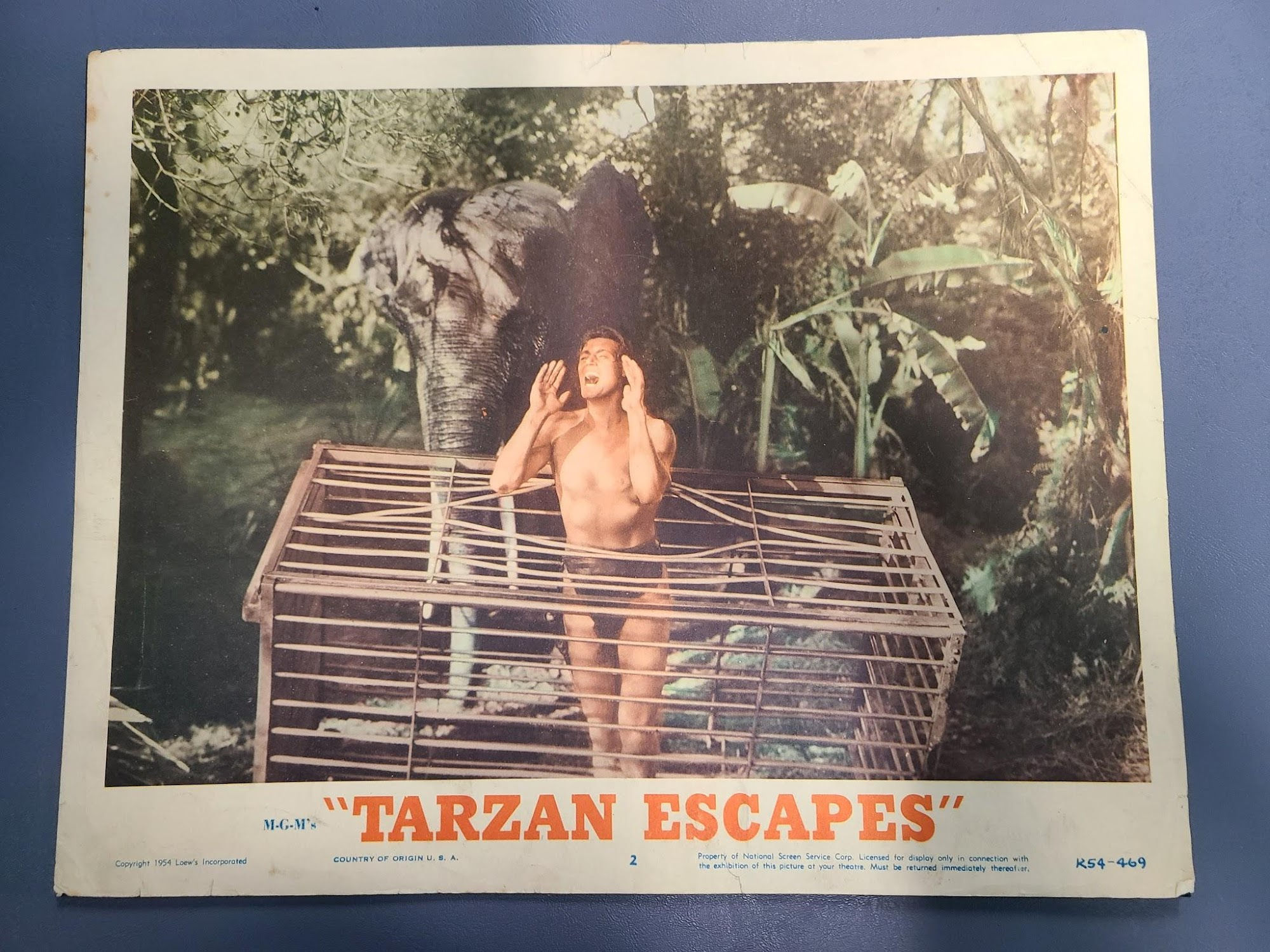 Tarzan Escapes 1936 General Lobby Cards