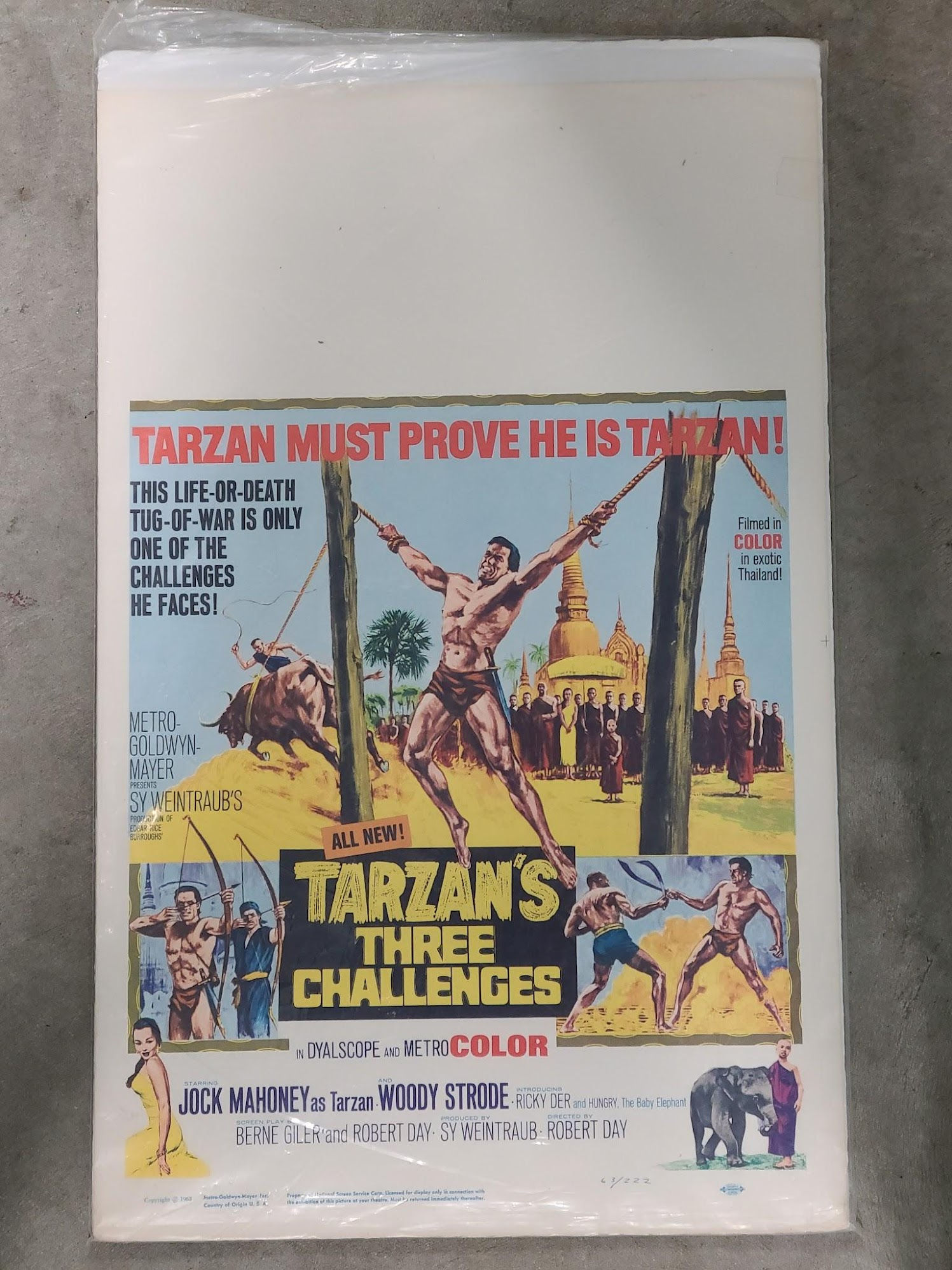 Tarzan's Three Challenges 1963 Window Cards