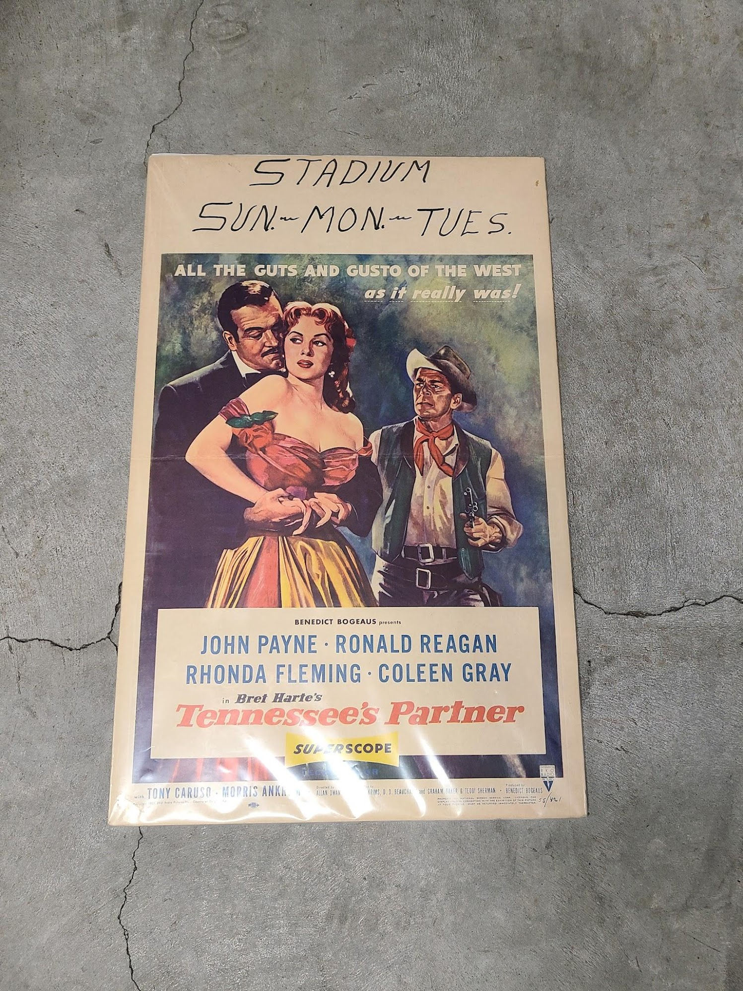 Tennessee's Partner 1955 Window Cards