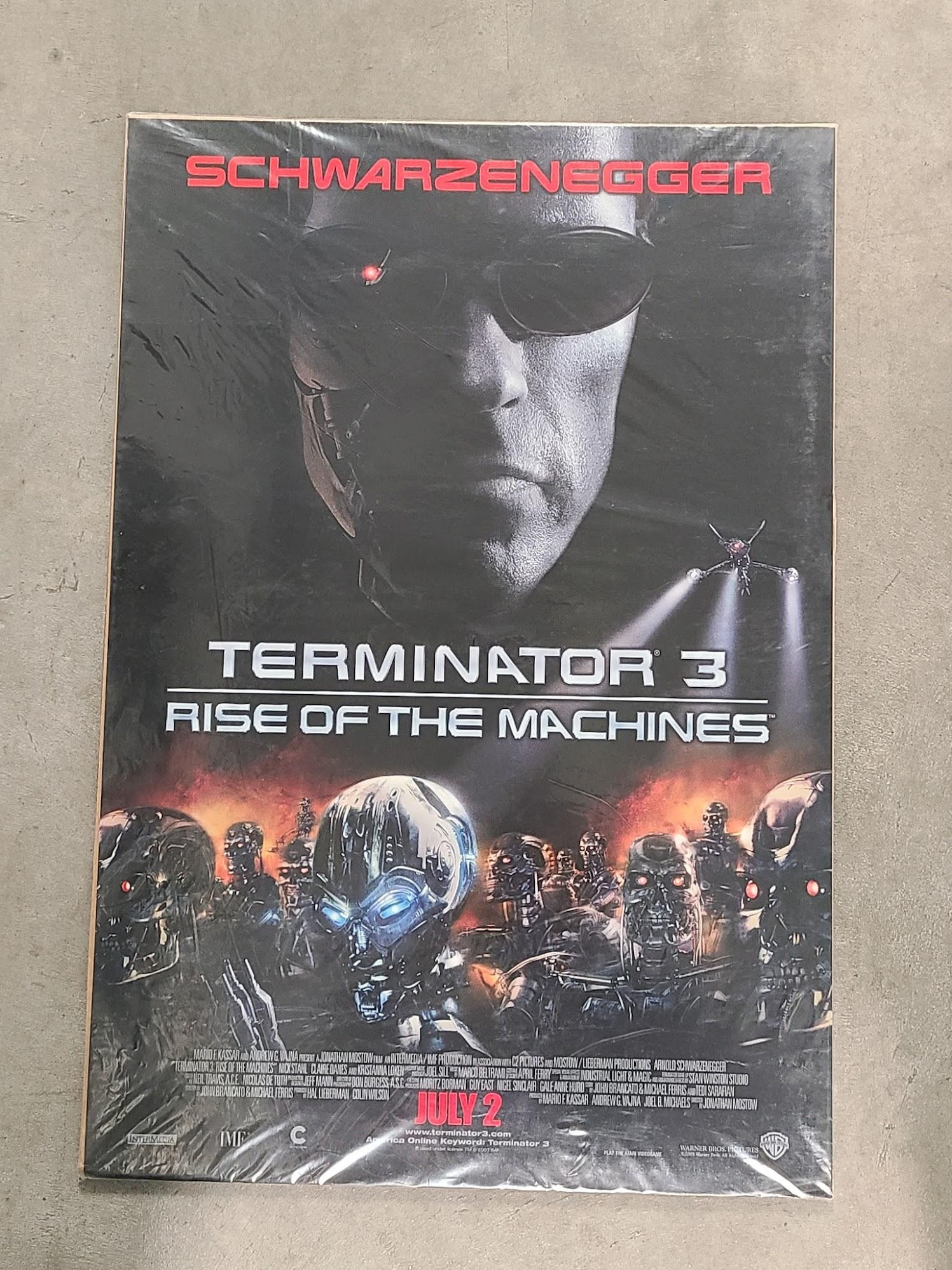 Terminator 3: Rise Of The Machines 2003 1 Sheets/US