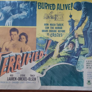 Terrified 1963 Half Sheets