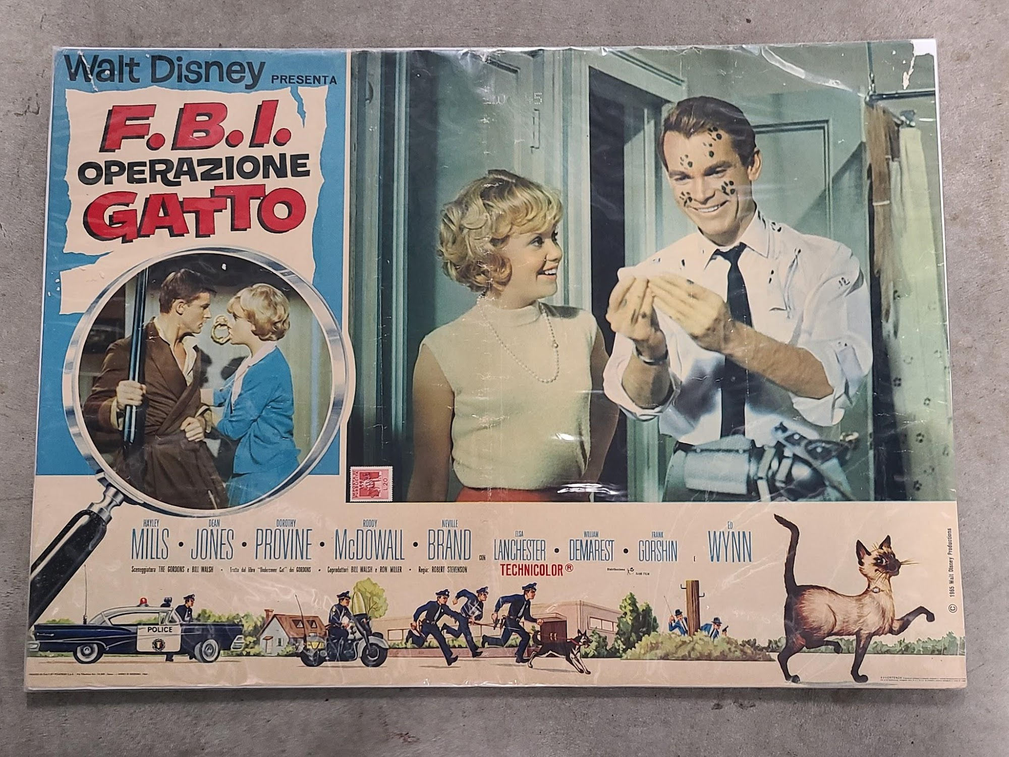 That Darn Cat 1965 Fotobusta