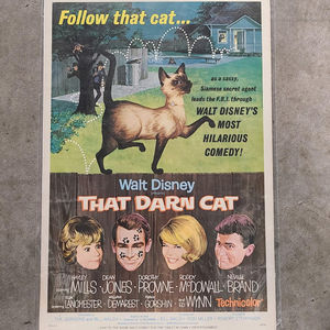 That Darn Cat 1965 Window Cards