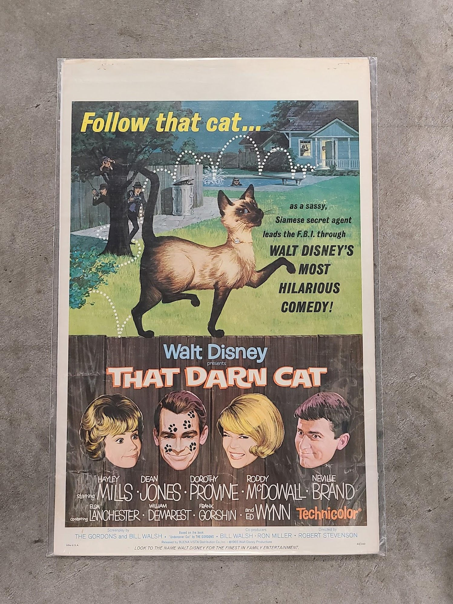 That Darn Cat 1965 Window Cards