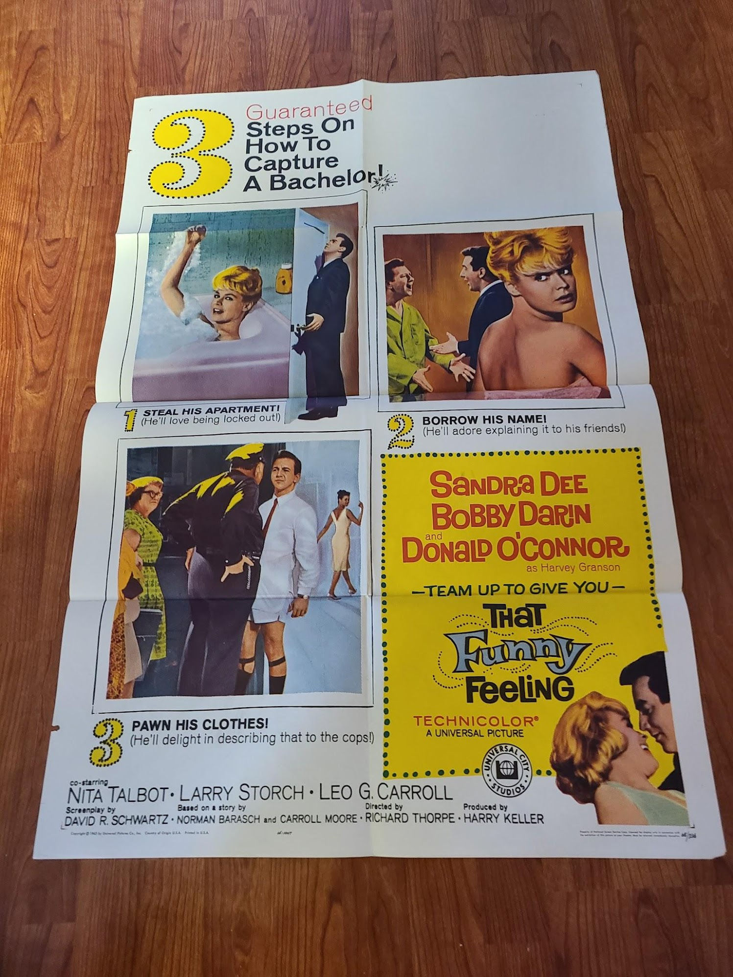 That Funny Feeling 1965 1 Sheets/US
