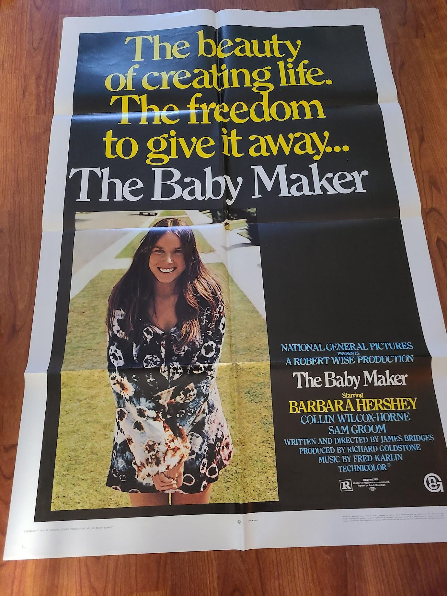 The Baby Maker 1970 1 Sheets/US