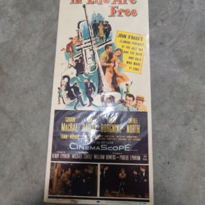 The Best Things In Life Are Free 1956 Inserts
