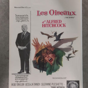 The Birds 1963 Belgium