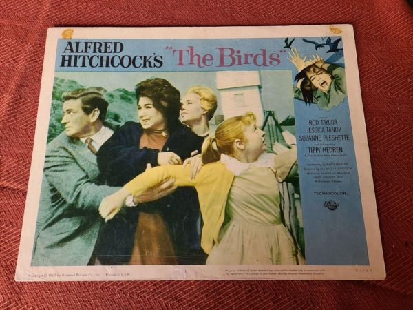 The Birds 1963 Scifi/Horror