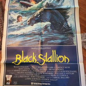 The Black Stallion 1979 Italian Posters